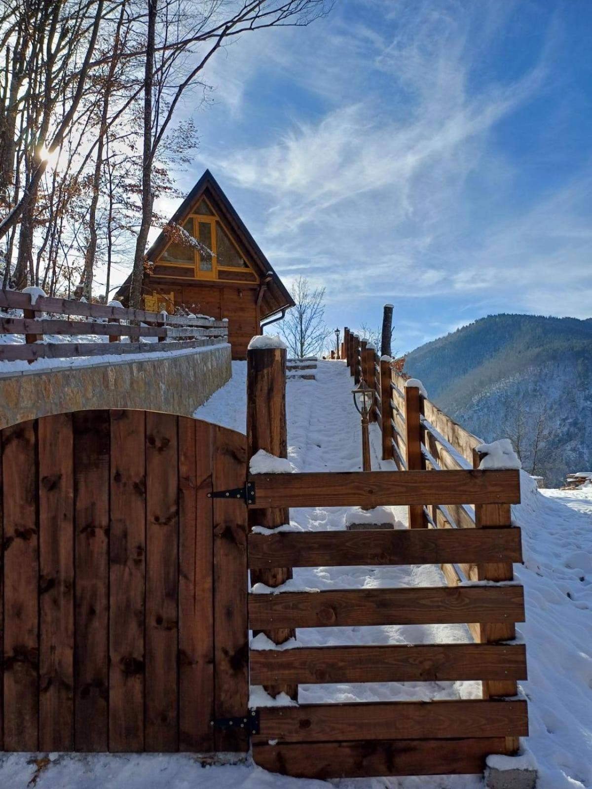 Drvene Kuce Suska - Wooden Houses Suska Zaovine Buitenkant foto
