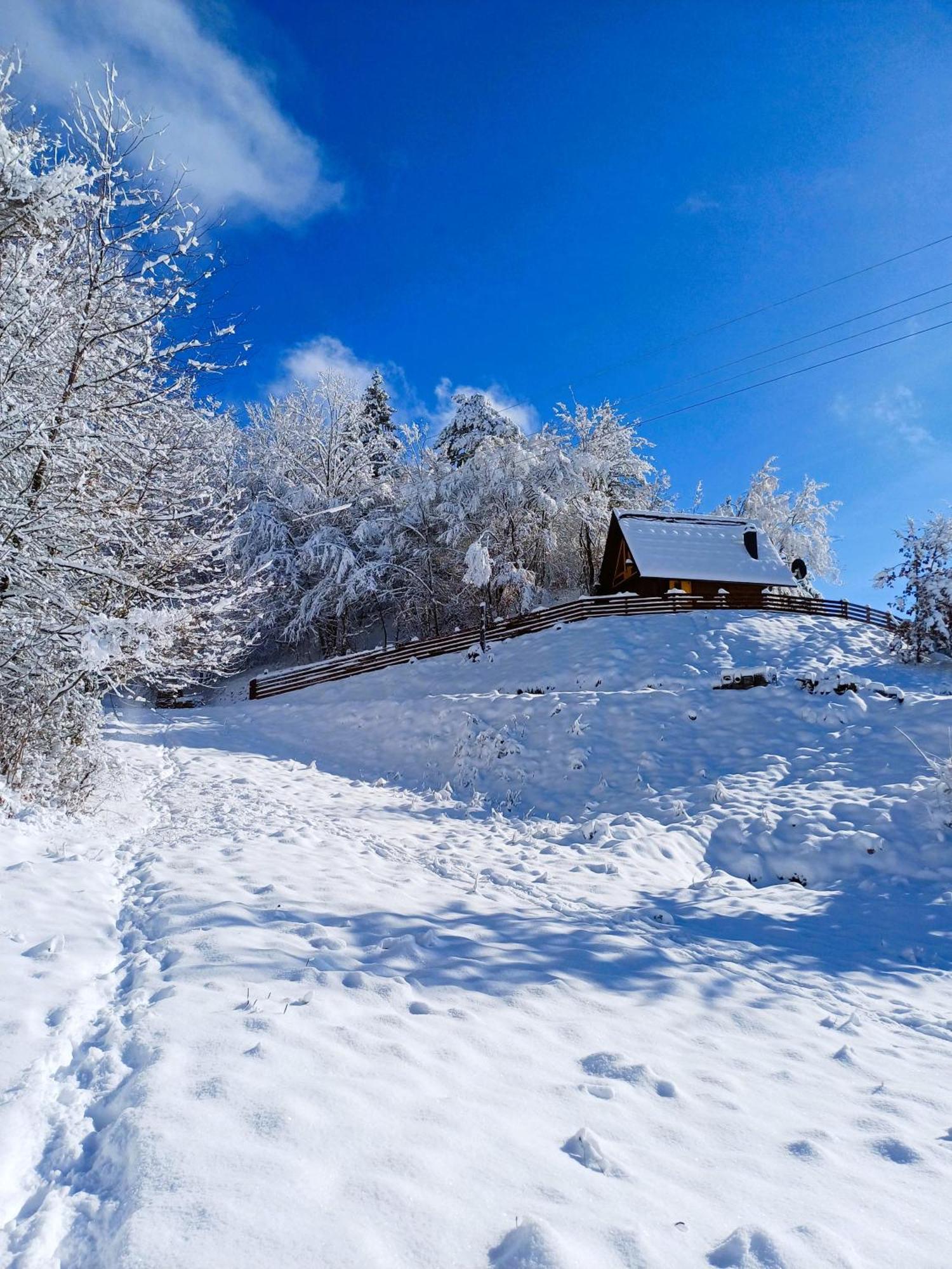 Drvene Kuce Suska - Wooden Houses Suska Zaovine Kamer foto