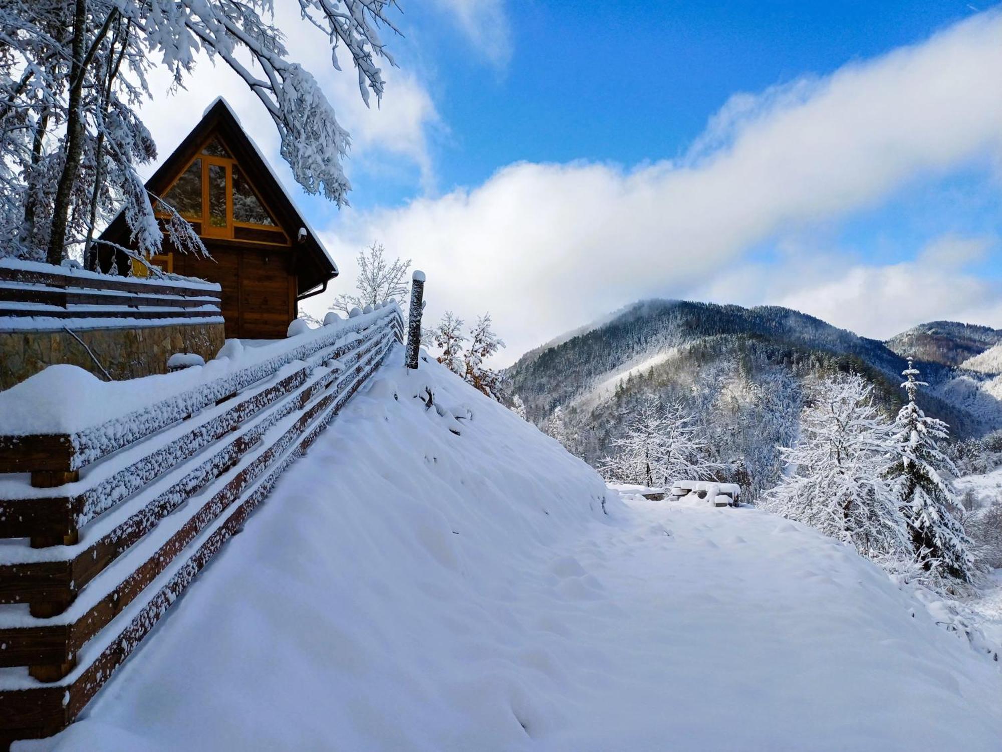 Drvene Kuce Suska - Wooden Houses Suska Zaovine Buitenkant foto